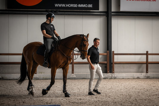 Why Better Competitions Demand Better Flatwork