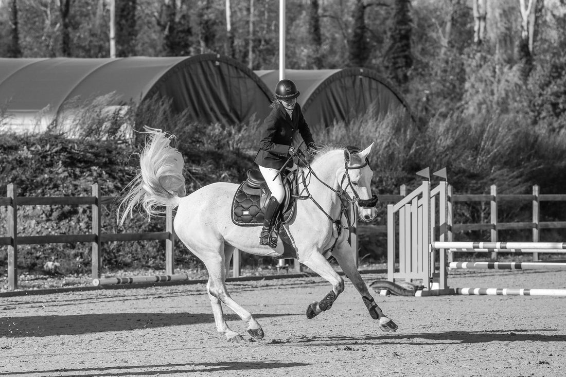 Discipline vs. Talent: What Actually Drives Rider Progress