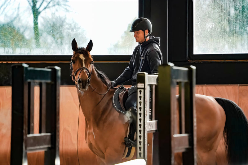 Why Does Your Horse Feel Better After Your Trainer Rides It?