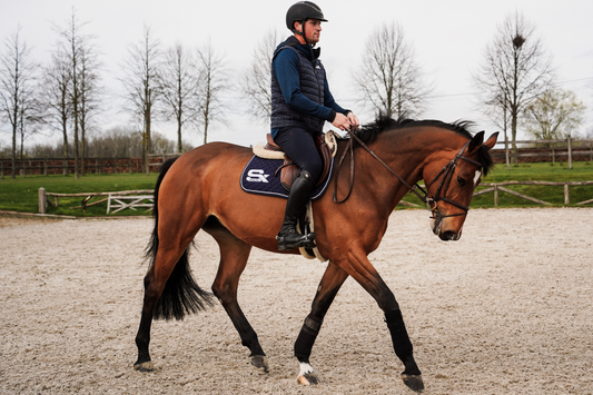 Flatwork First: Building the Base for Clearer, Smoother Rounds