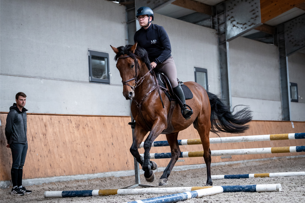 Choosing the Right Trainer: A Key Step in Long-Term Progress