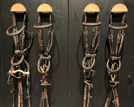 How to Choose (and Test) the Right Bit: A Practical Approach for Everyday Riders