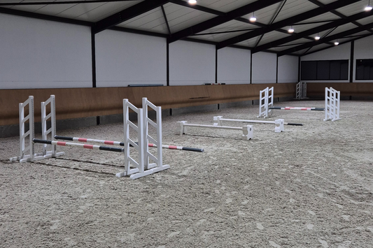 How to Build Effective Training Exercises in Show Jumping