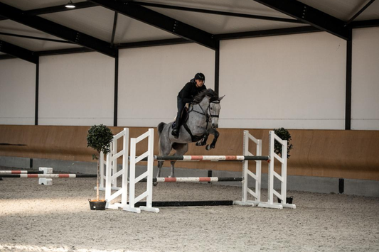 Discipline vs. Talent: What Actually Drives Rider Progress