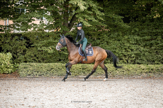 The Smart Pre-Show Routine: How to Prepare Your Horse the Day Before Competition
