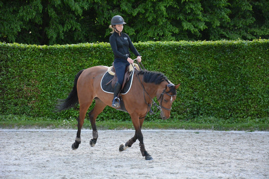 The Real Reason You Can’t Find the Right Canter in Competition